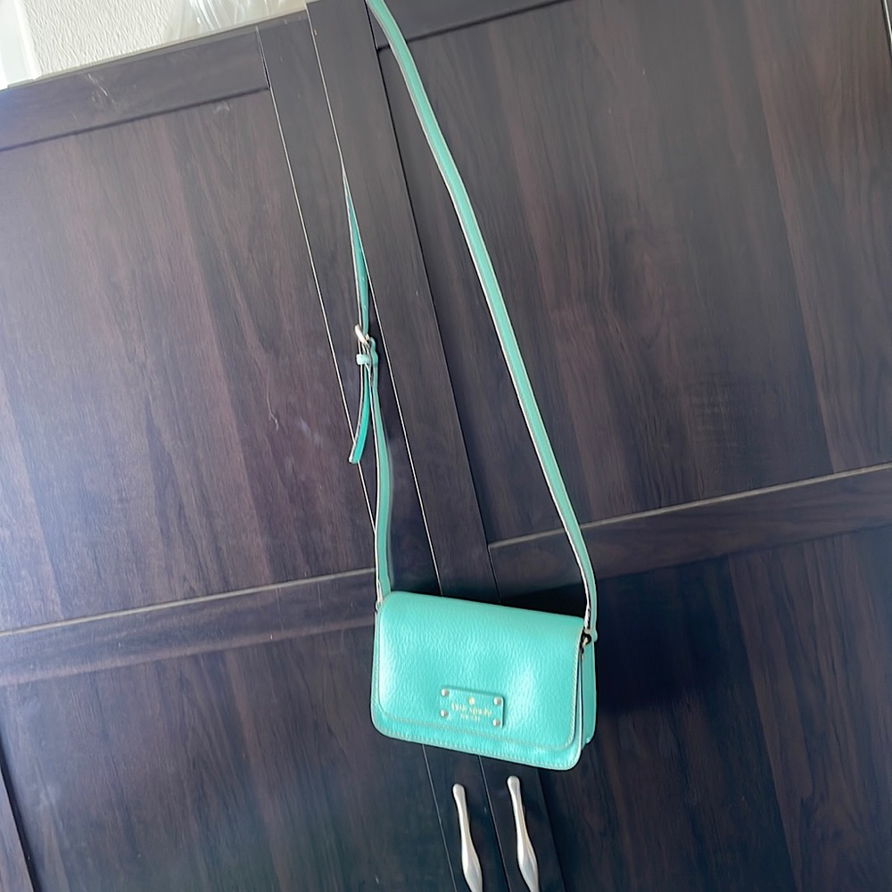 Designer crossbody bag. Mint/Tiffany blue 7.5 inches x 5 inches